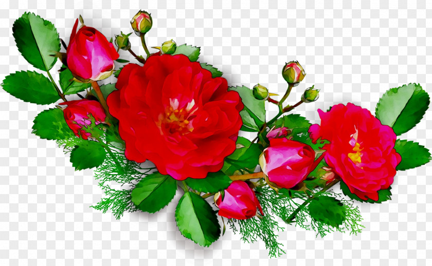 Garden Roses Birthday Flower Bouquet Wish Wedding Anniversary PNG
