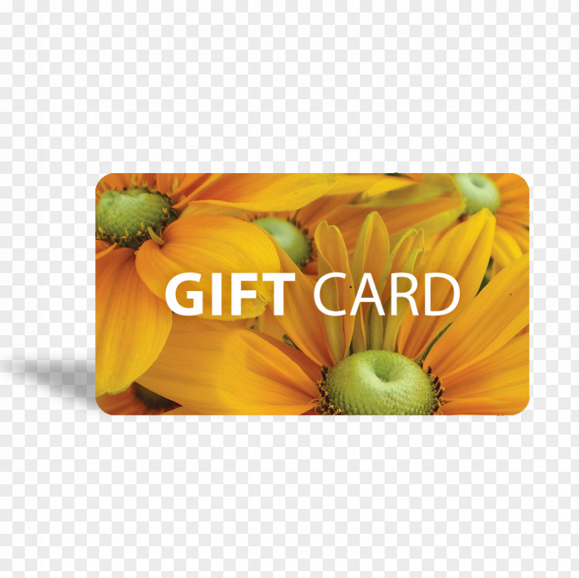 Gift Card Greeting & Note Cards Mother Nature PNG