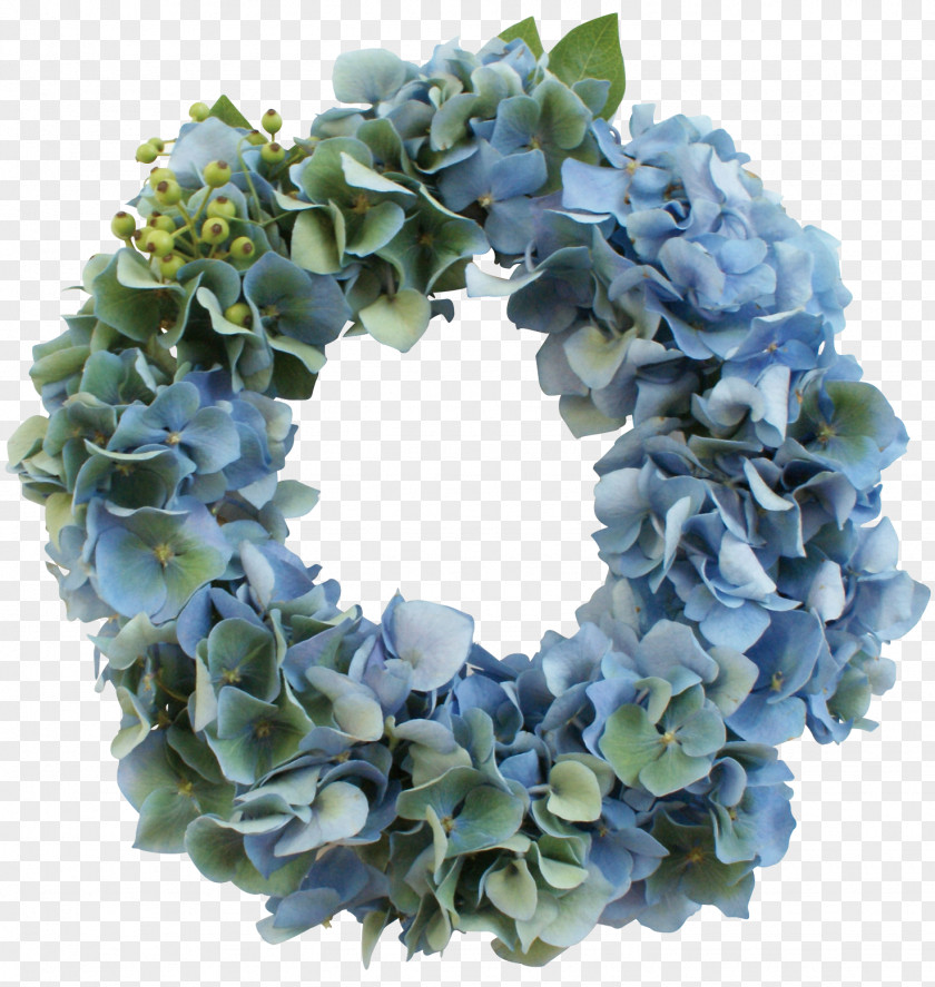 Hitachi Wreath Dialysis Diabetic Nephropathy Medicine French Hydrangea PNG