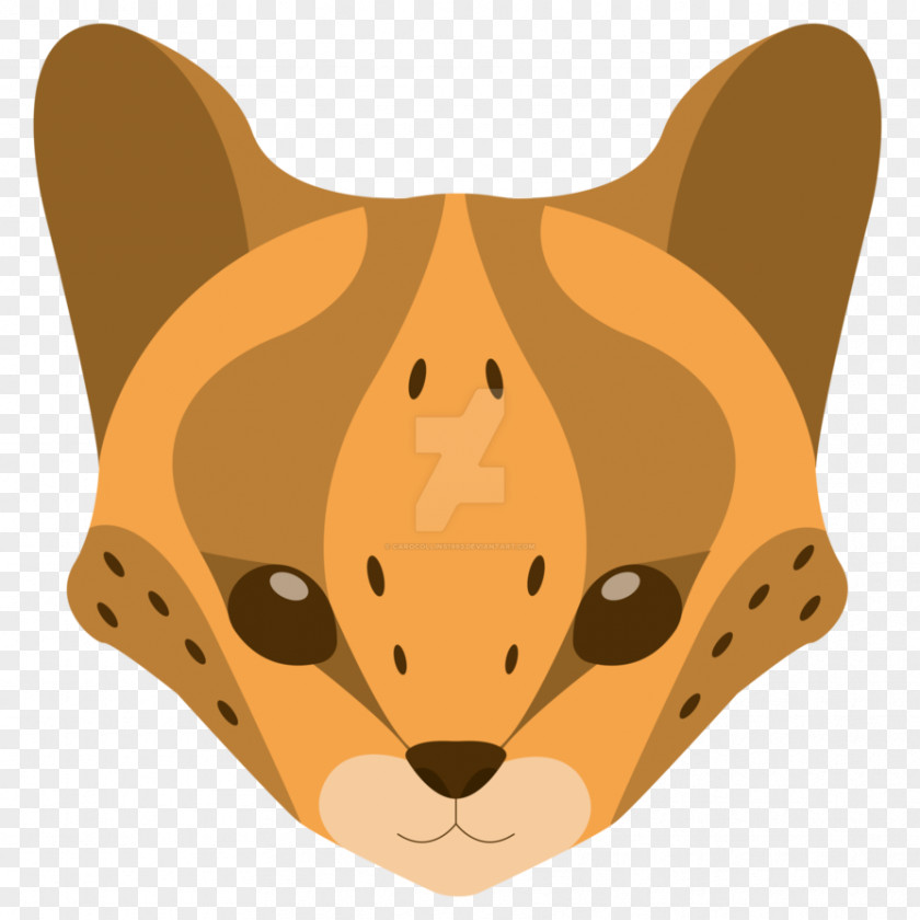 Kitten Whiskers Cat Serval Cougar PNG