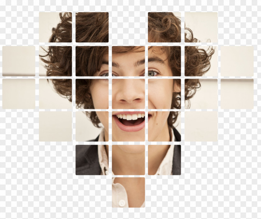 Mini Harry Styles One Direction Boy Band T-shirt Online And Offline PNG