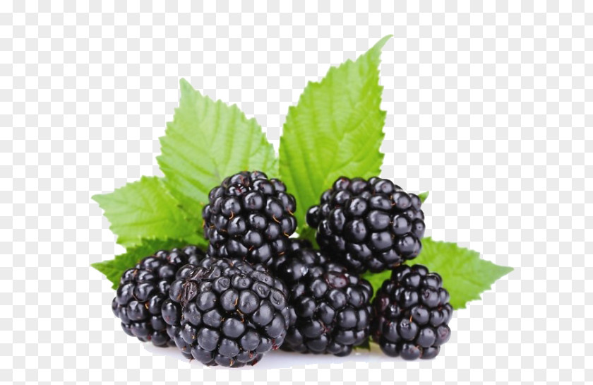 Oil Marmalade Pekmez Red Mulberry Boysenberry PNG