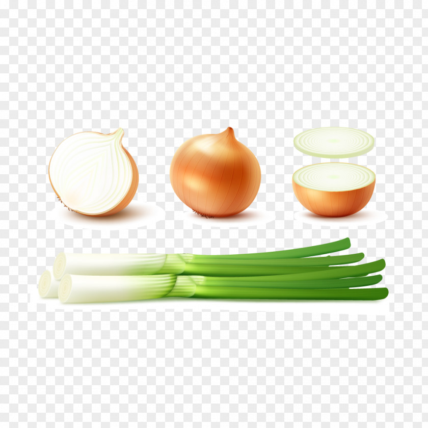 Onion Vegetables Shallot Potato Yellow Red PNG