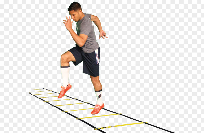 Action Sports Agility Exercise Ladder Sport Skill PNG