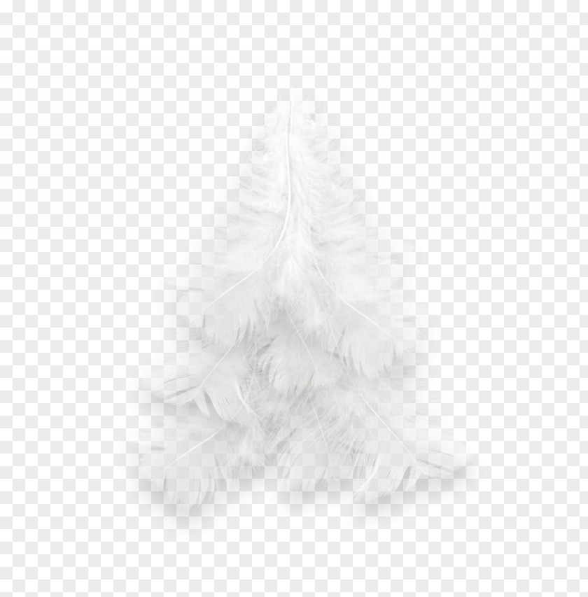 Christmas Tree Fir Spruce Ornament PNG