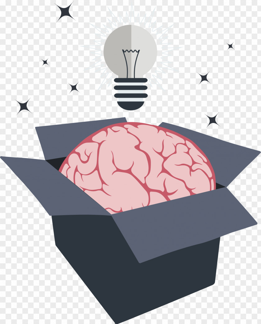 Vector Hand-painted Brains Download Agy Clip Art PNG