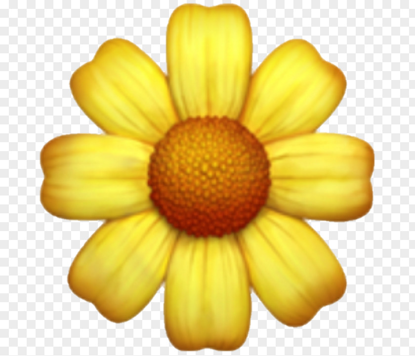 Wildflower Pollen Smiley Emoji PNG