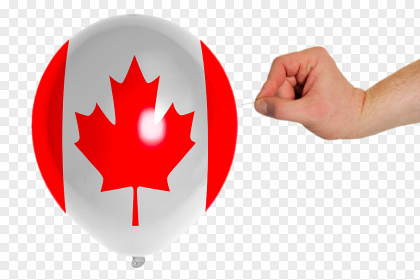 Canadian Flag Printed Balloons 150th Anniversary Of Canada Maple Leaf PNG