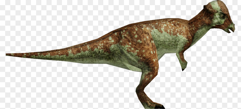 Jurassic Park Tyrannosaurus Park: Operation Genesis Pachycephalosaurus Metriacanthosaurus Edmontosaurus PNG