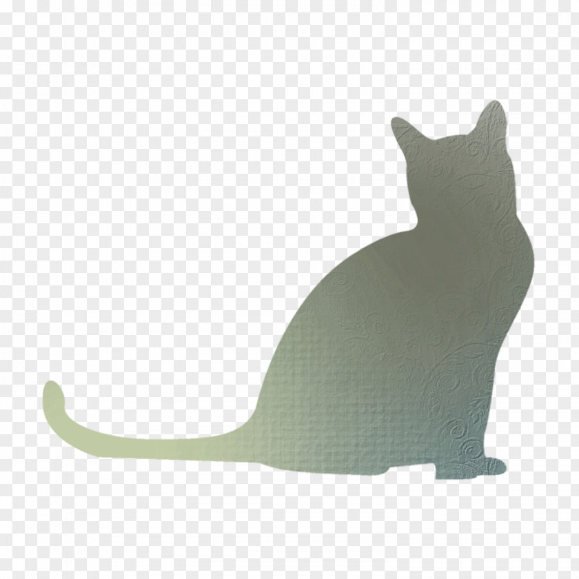 Cat Movies Whiskers Shadow Clip Art PNG