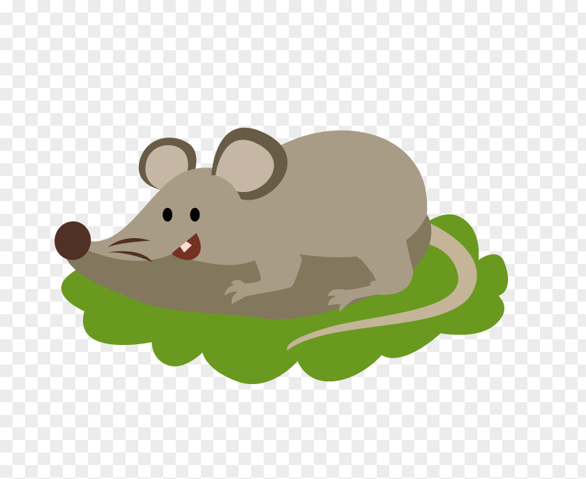 Mouse Brown Rat Terrier Laboratory Tile PNG