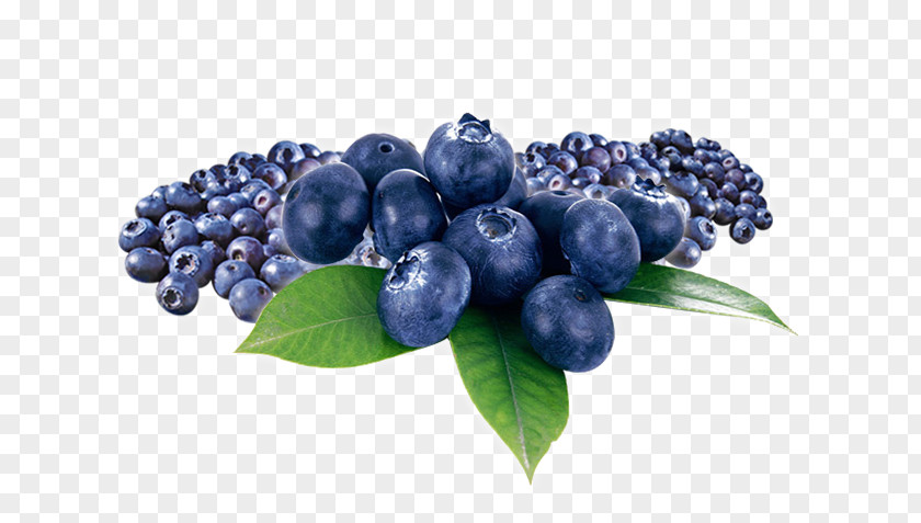 Myrtilles Blueberry Tea Bilberry Huckleberry Fruit PNG
