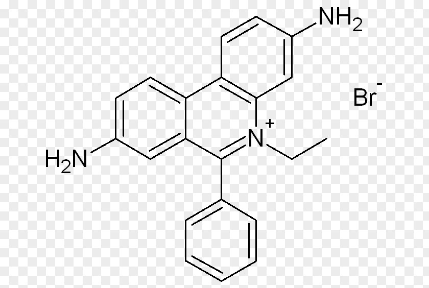 Safranin Ethidium Bromide Phenolphthalein Nucleic Acid Chemical Compound PNG