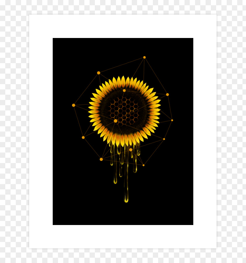 Stock Photography Sunflower M PNG