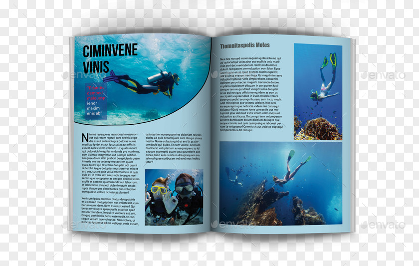 Travel Billboard Template Magazine Tourism Marine Biology Page Layout Mammal PNG