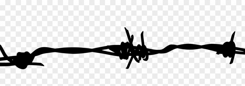 Barbed Wire Clip Art PNG