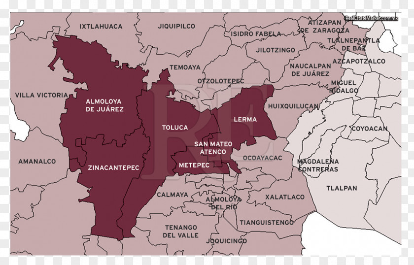 Cinco Toluca Map Municipio De Metepec Elevation PNG