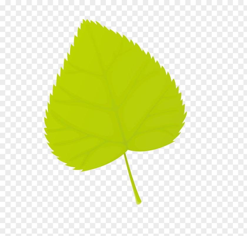 Creative Leaves Leaf Euclidean Vector PNG