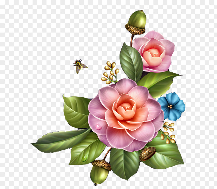 Flower Day Clip Art PNG