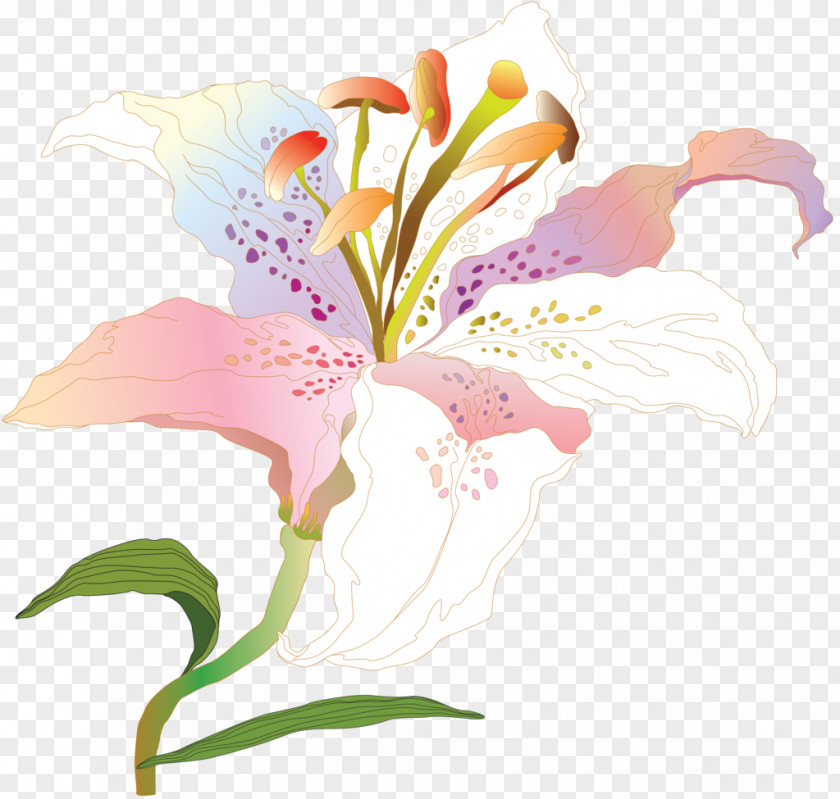 Hand Painted Lilium Flower Lily Of The Incas Plant PNG
