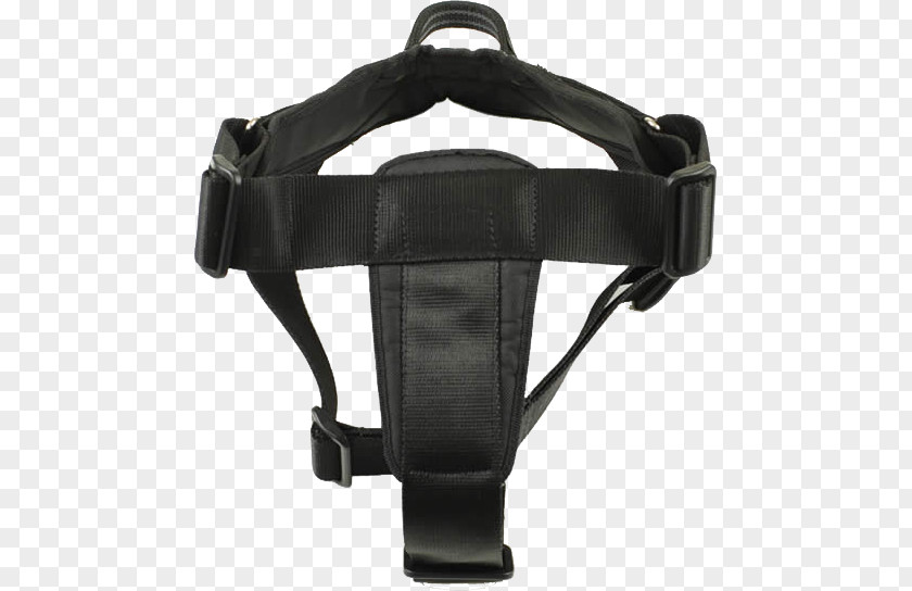 Belt Personal Protective Equipment Black M PNG