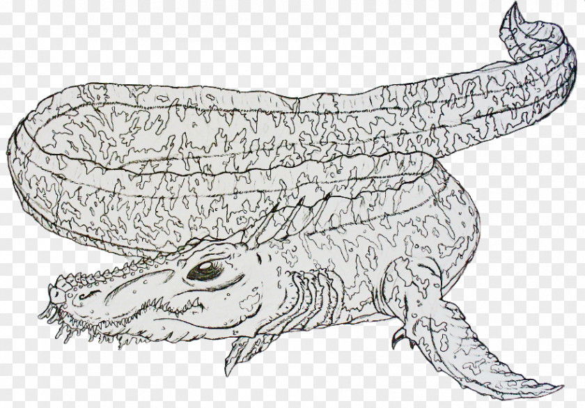 Crocodile Alligators Animal Toad Wildlife PNG