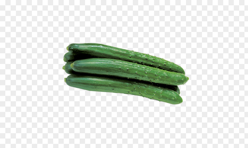 Cucumber Pickled Melon PNG