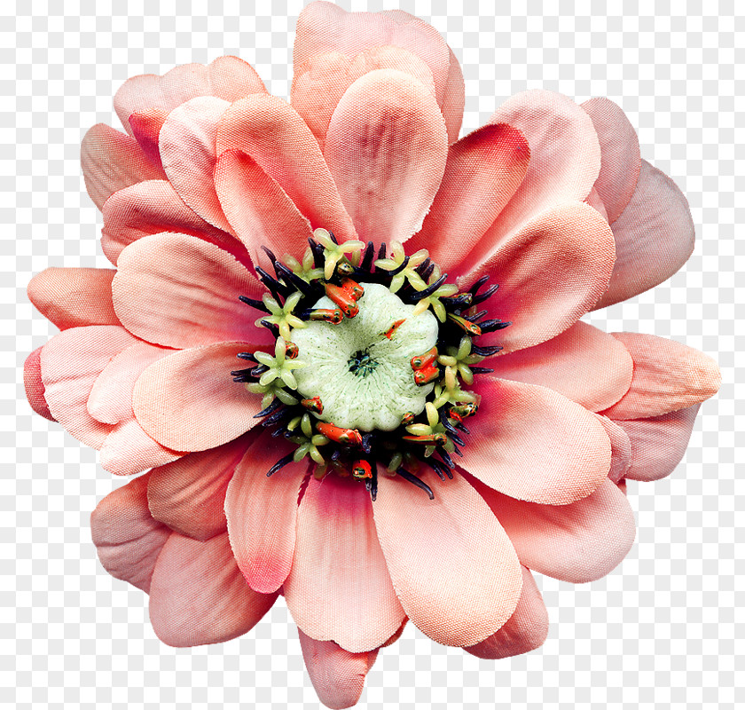 Cut Flowers Zedge Petal Advertising PNG