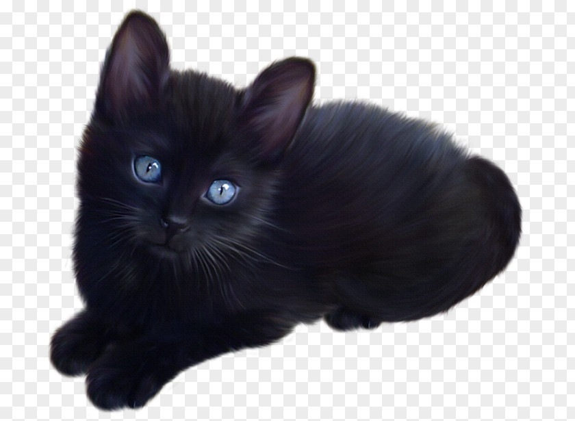 Kitten Siamese Cat Black Clip Art PNG
