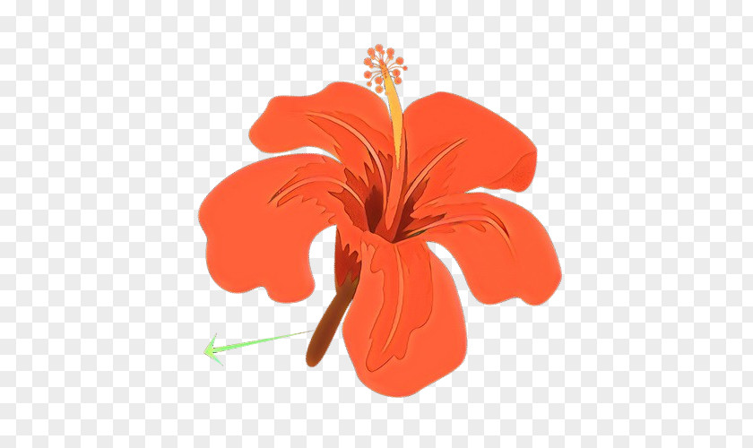 Petal Orange PNG