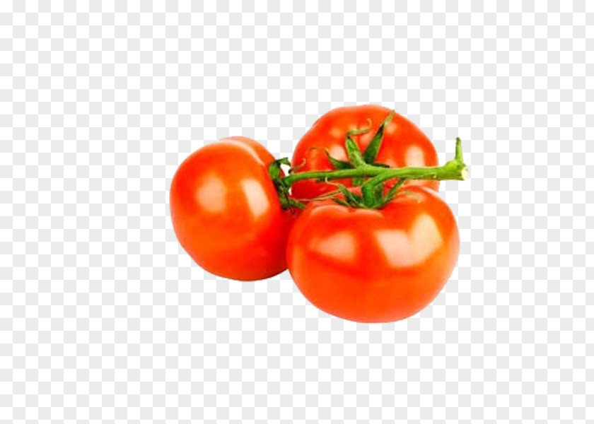Red Tomatoes Free Pull Material Vegetable Tomato Royalty-free Download PNG