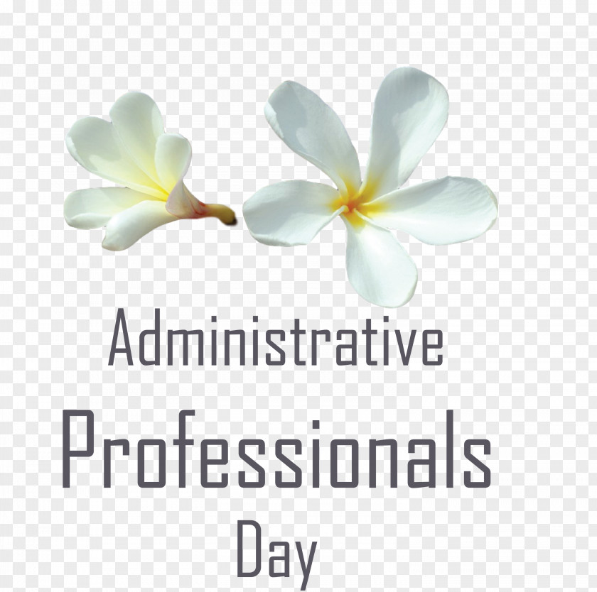 Administrative Professionals Day Secretaries Admin PNG