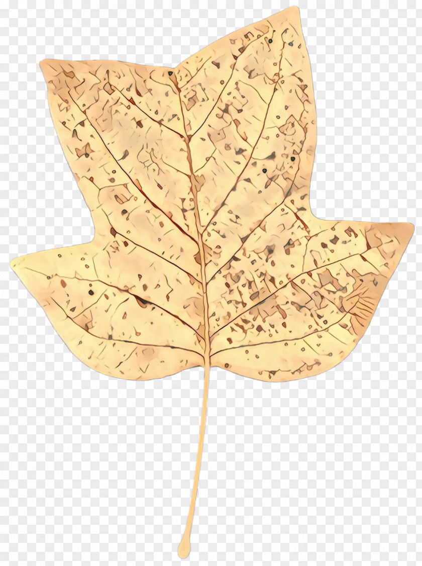 Anthurium Plane Maple Leaf PNG