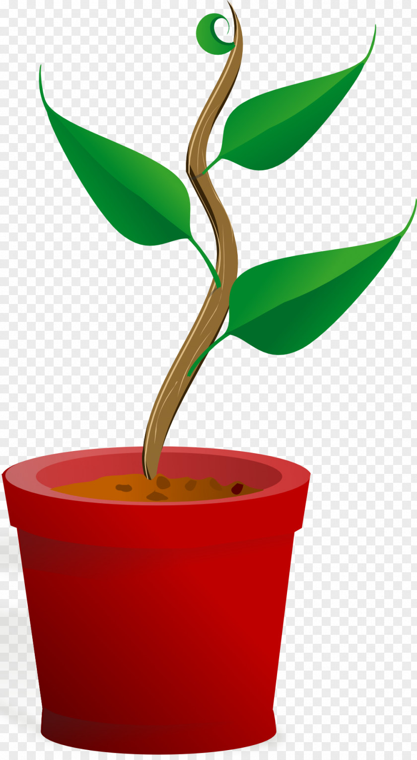 Plant What Plants Need Life-form Root Clip Art PNG
