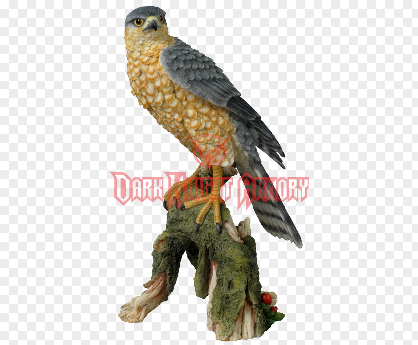 Sparrow Hawk Bird Eurasian Sparrowhawk Sculpture Statue PNG