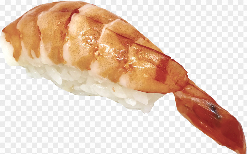 Sushi Seafood Onigiri Caridea Salmon PNG