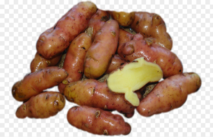 Fingerling Potato Knackwurst Cervelat Chistorra Breakfast Sausage PNG