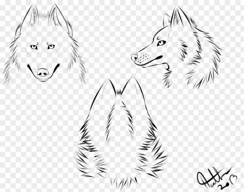 Gray Wolf Snout Drawing Sketch PNG