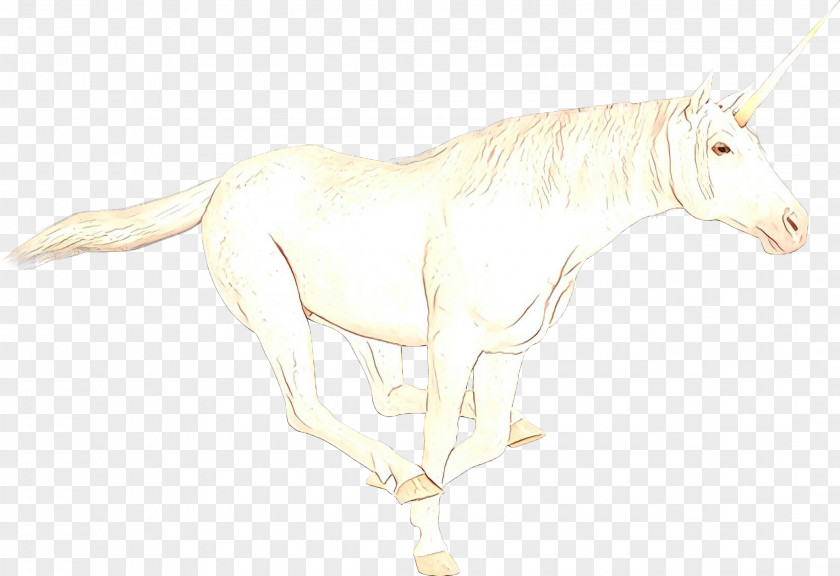 Mustang Pack Animal Art Sketch Fauna PNG