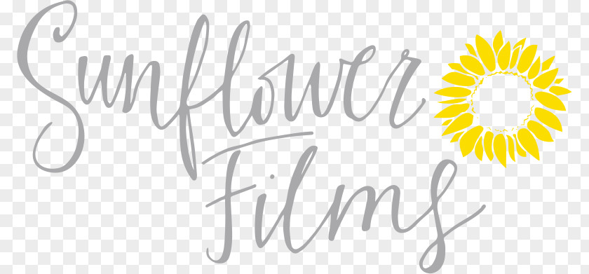 Wedding Sunflower Videography Videographer Film PNG