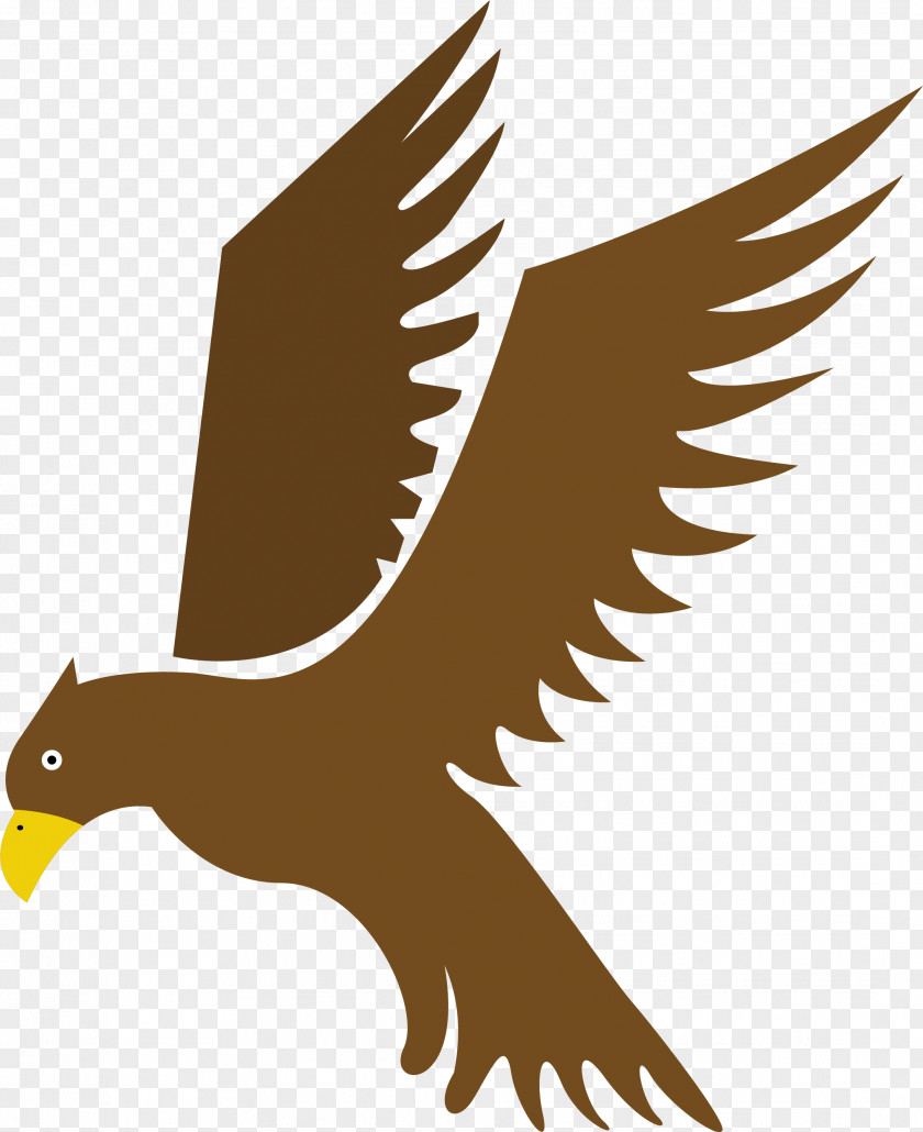 Eagle Bow Bird Hawk Flight PNG
