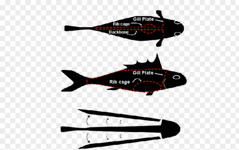 Fishy Story Catfish Helicopter Airplane Cleaning PNG