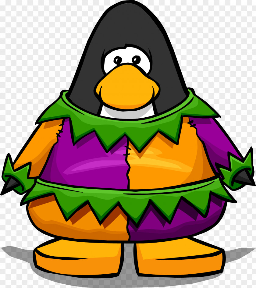 Jester Raincoat Hoodie Club Penguin Cartoon Clip Art PNG