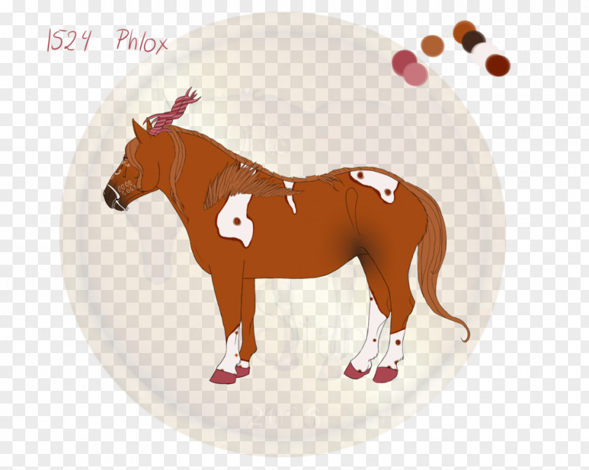 Mustang Stallion Horse Tack Freikörperkultur Yonni Meyer PNG