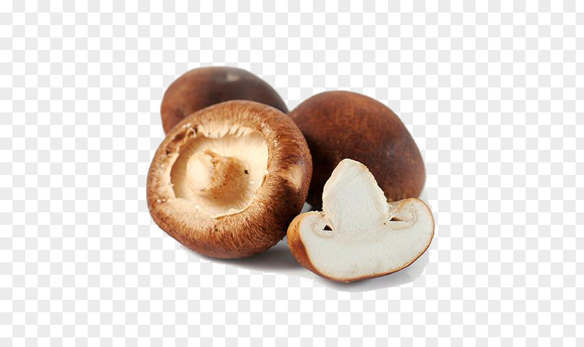 Shiitake Mushroom Hot Pot Bibimbap PNG