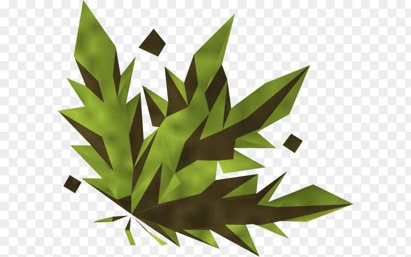 Weed RuneScape Cannabis Wikia PNG