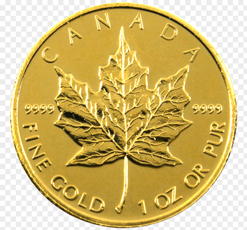 Coin Silver Canadian Gold Maple Leaf Canada PNG