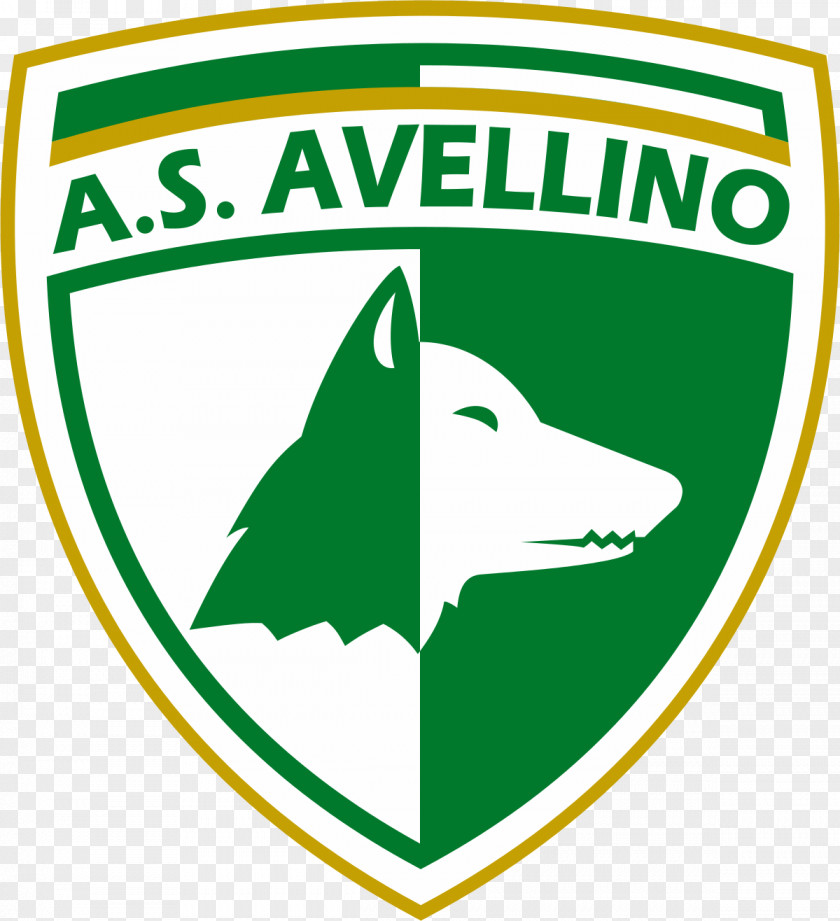 Football Calcio Avellino S.S.D. Logo U.S. Salernitana 1919 PNG
