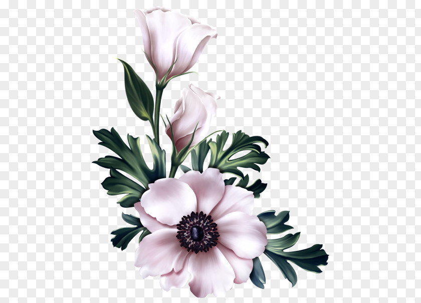 Tulip Flower Arranging Bouquet Of Flowers Drawing PNG