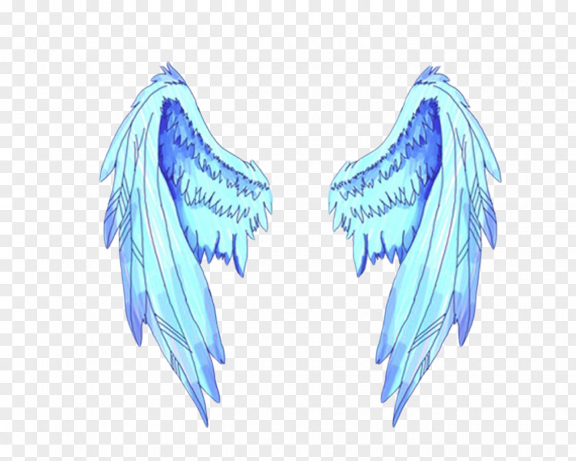 Wings TERA Photography Clip Art PNG